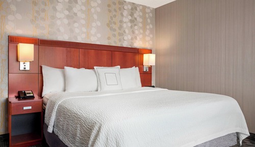Room, 1 King Bed