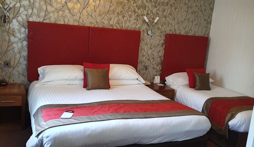 Family Room, Multiple Beds, Non Smoking