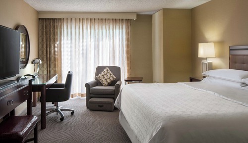 Traditional Room, 1 King Bed