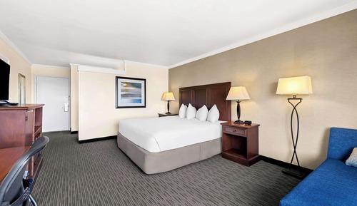 Standard Room, 1 King Bed, Refrigerator, Ocean View