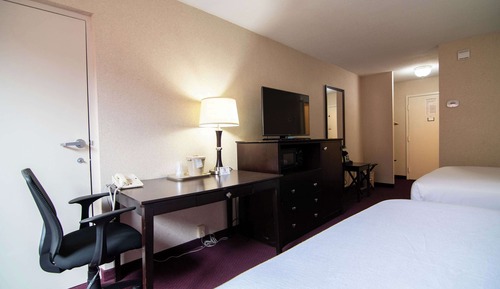 Standard 2 Queen Bed