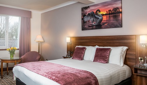 Executive Double or Twin Room