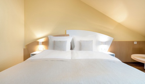 Standard Room, 1 Queen Bed