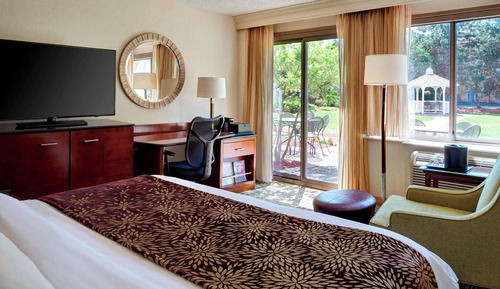 Room, 1 King Bed, Smoking (Mobility Accessible, Tub)