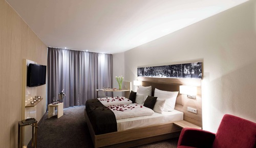 Premium Room, 1 Double Bed