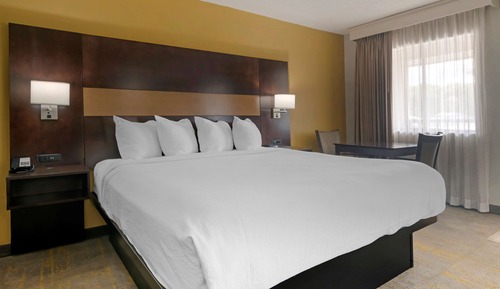 Suite, 1 King Bed, Non Smoking, Refrigerator & Microwave (with Sofabed)