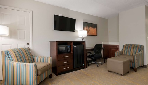 Standard Room, 1 King Bed, Non Smoking, Refrigerator & Microwave (Larger Room)