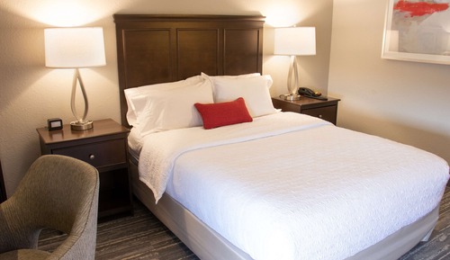 Room, 1 Queen Bed, Accessible