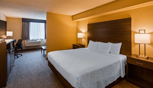 Suite, 1 King Bed, Accessible, Refrigerator & Microwave (with Sofabed)