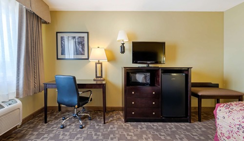 Standard Room, 1 King Bed, Accessible, Non Smoking (Bathtub)