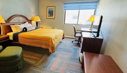 Suite, 1 King Bed with Sofa bed