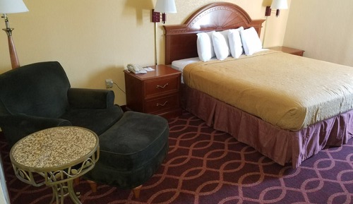 Basic Single Room