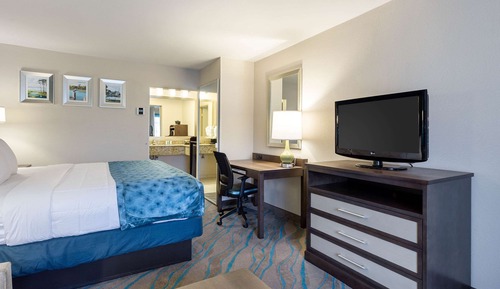 Standard Room, 1 King Bed, Non Smoking