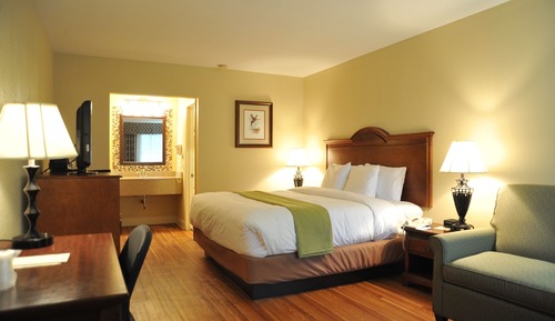Standard Room, 1 King Bed