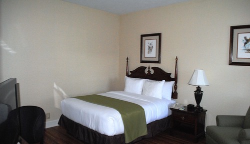 Standard Room, 1 Queen Bed