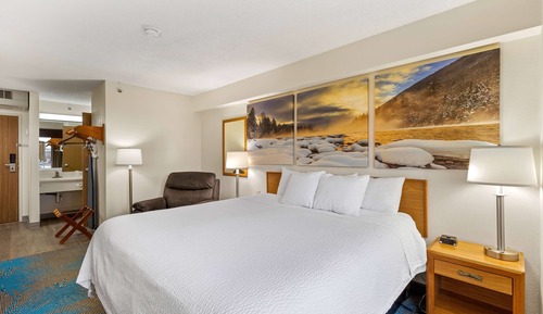 Room, 1 King Bed, Non Smoking