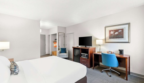 Room, 1 King Bed, Accessible, Non Smoking