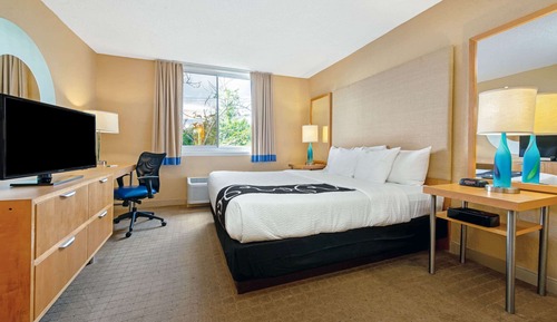 Room, 1 King Bed, Non Smoking