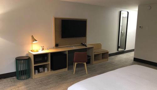 Standard Room, 1 King Bed, Accessible, Refrigerator & Microwave (Walk-in Shower)