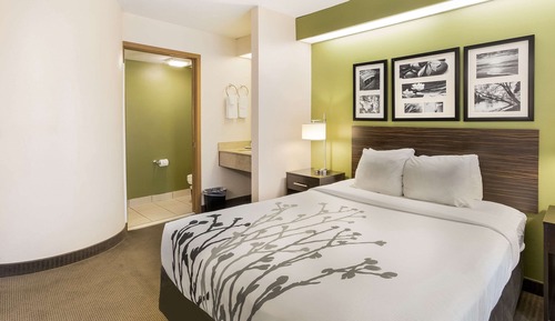 Standard Room, 1 Queen Bed, Non Smoking
