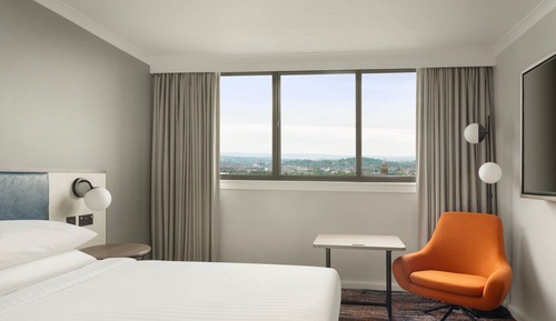 Deluxe Room, 1 King Bed, Non Smoking
