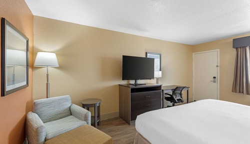 Standard Room, 1 King Bed, Non Smoking (Shower Only)