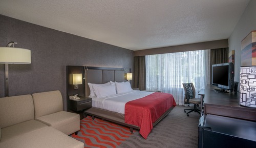 Standard Room, 1 King Bed, Accessible Bathtub (Communications)