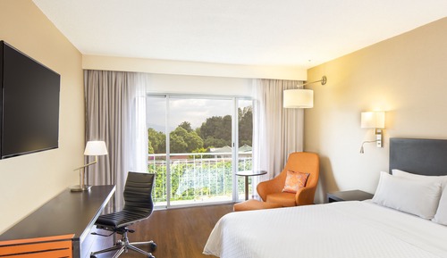 Room With a view King