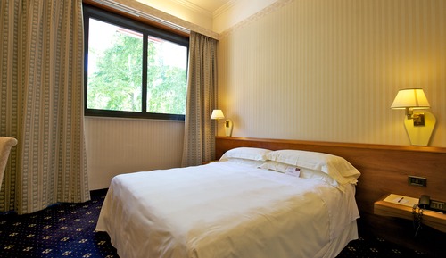 Standard Room, 1 Double Bed