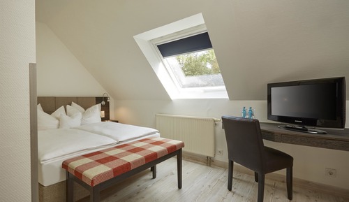 Superior Double or Twin Room, 1 Bedroom
