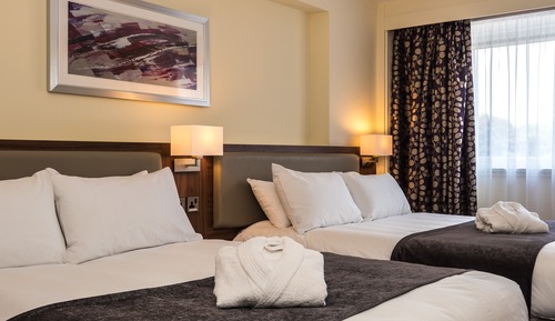 Standard Room, 2 Twin Beds, Accessible