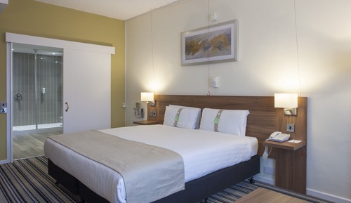 Standard Room, 1 King Bed, Accessible