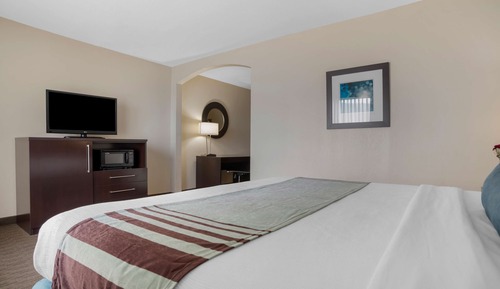 One Bedroom Suite, 1 King Bed, Non Smoking, Refrigerator & Microwave (with Sofabed)