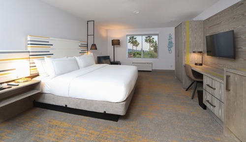 Room, 1 King Bed