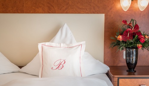 Double Room Single Use