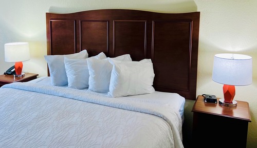 Room, 1 King Bed, Non Smoking, Refrigerator & Microwave