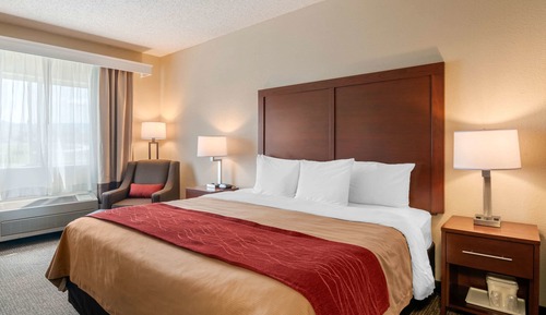 Room, 1 King Bed, Accessible, Non Smoking