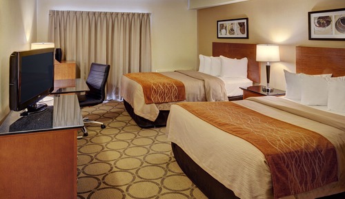 Standard Room, 2 Double Beds