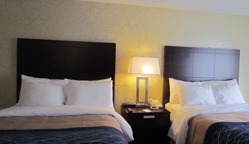 Comfort Care, Double Room, 2 Double Beds, Non Smoking