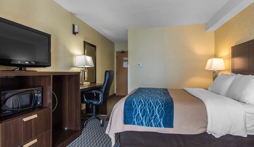 Room, 1 Queen Bed with Sofa bed, Non Smoking