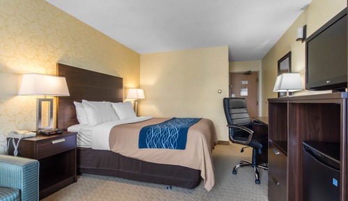 Standard Room, Non Smoking, Ground Floor (with 2 person sofabed)