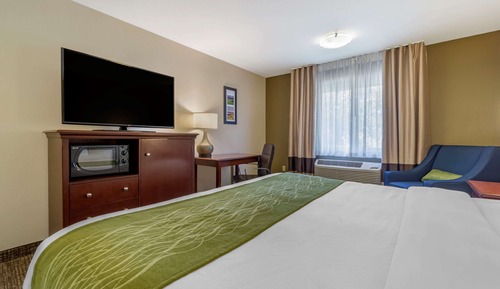 Standard Room, 1 King Bed, Non Smoking