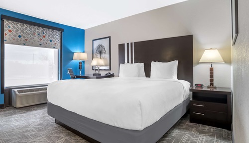 Standard Room, 1 King Bed, Accessible, Refrigerator & Microwave
