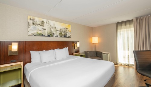 Room, 1 King Bed, Non Smoking