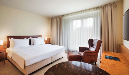 Deluxe Room, 1 Queen Bed