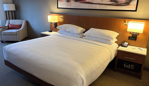 Room, 1 King Bed