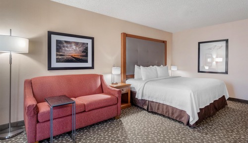 Standard Room, 1 King Bed, Non Smoking, Refrigerator & Microwave