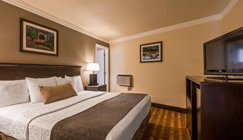 Standard Room, 1 King Bed, Accessible, Refrigerator & Microwave