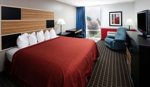 Suite, 1 King Bed