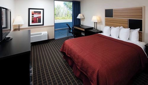 Room, 1 King Bed
